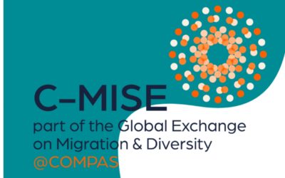 Exclusion as Default: The legal and policy dynamics around the production of irregular migration in the Netherlands